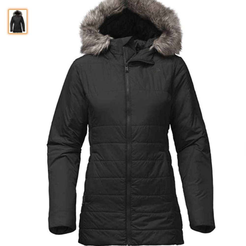 The North Face Women's Harway Insulated Parka